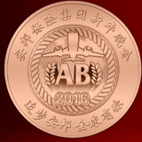 2016年1月 北京定制 安邦保险新年晚会纪念铜章