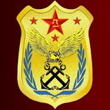2016年6月 北京定制 海军飞行员徽章 【产品名称】