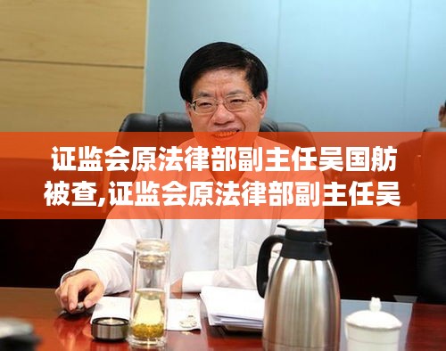 证监会原法律部副主任吴国舫被查，深度解读与未来展望分析