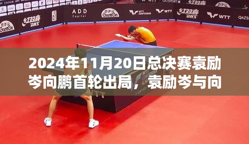 袁励岑与向鹏首轮出局，2024年总决赛遗憾瞬间