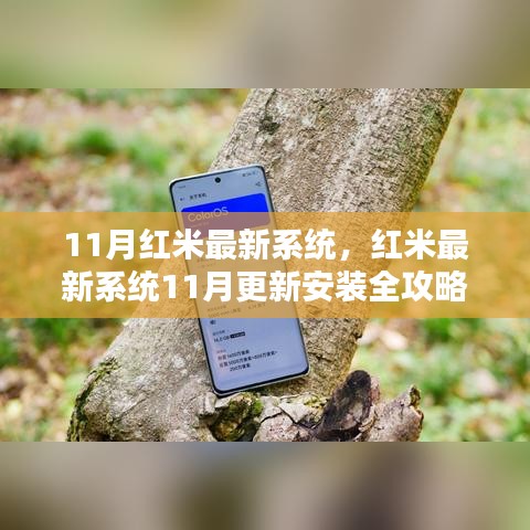 红米最新系统11月版安装全攻略，从入门到进阶指南