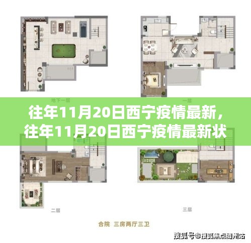 往年11月20日西宁疫情最新解析与全面状况报告
