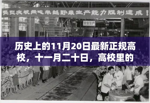 温馨时光再现高校，十一月二十日的回忆与成长之路