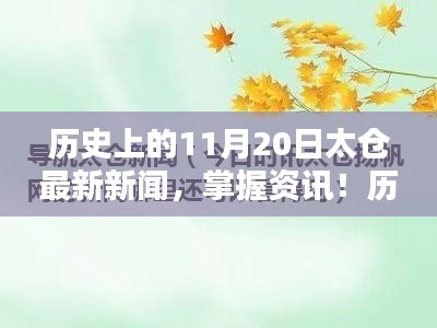 历史上的11月20日太仓最新新闻全攻略，初学者与进阶用户必读