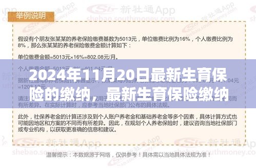 最新生育保险缴纳指南，解读2024年生育保险政策