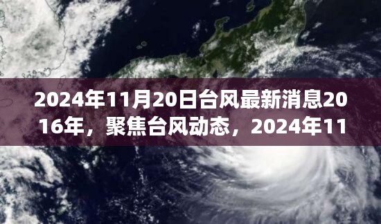 2024年台风最新动态，聚焦台风动态及科普解读（回顾案例）