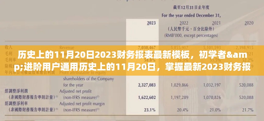 掌握最新2023财务报表模板制作，初学者与进阶用户通用指南（历史版11月20日更新）