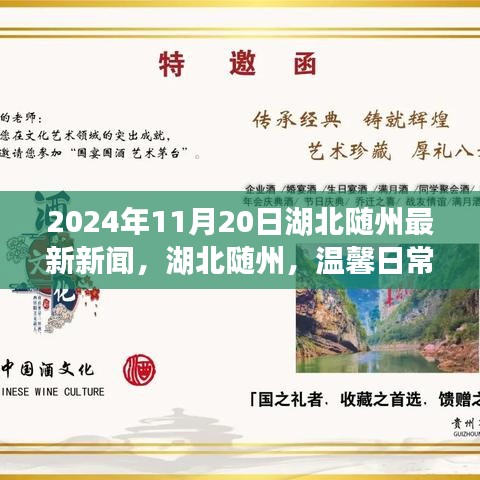 湖北随州温馨日常中的欢笑与情感纽带——随州最新新闻报道，2024年11月20日