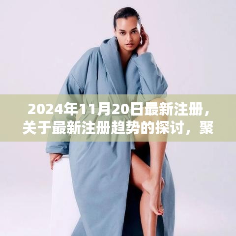 最新注册趋势聚焦分析，以2024年11月20日为界，探讨注册行业的演变与要点