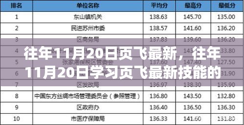 往年11月20日页飞最新技能学习指南，从初学者到进阶用户的详细步骤指南