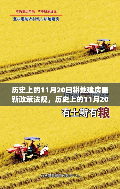耕地建房政策法规演变与探讨，历史上的11月20日回顾与最新动态