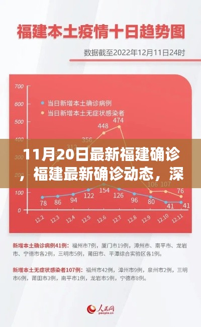 福建最新确诊动态，深度解析与评估（11月20日更新）