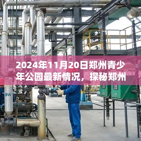 探秘郑州青少年公园，2024年11月20日的全新面貌展示