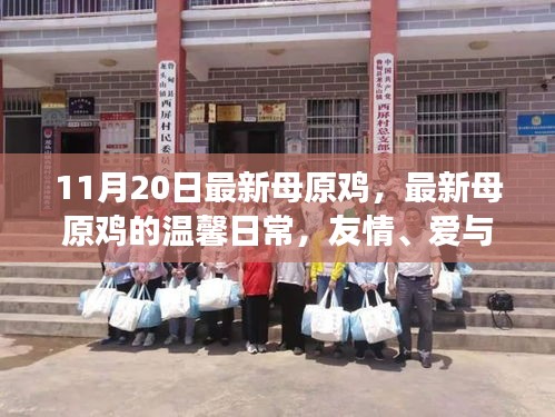 最新母原鸡的温馨日常，友情、爱与陪伴的奇妙故事