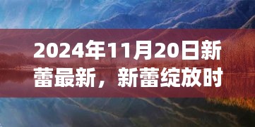 新蕾绽放之旅，启程于心灵与自然的美景之旅