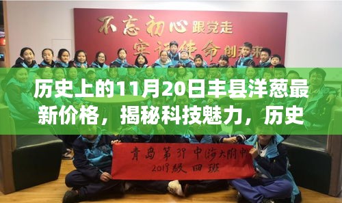 揭秘科技魅力，历史上的丰县人民检察院洋葱最新价格与智能生活新篇章的融合探索