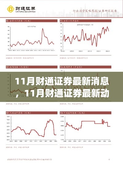 财通证券11月最新消息及动态，聚焦行业前沿，洞悉市场变化