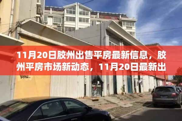 11月20日胶州平房市场最新动态与深度解析，出售信息一览