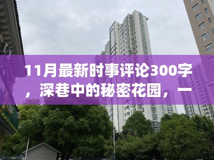 深巷秘密花园，特色小店与最新时事评论揭秘