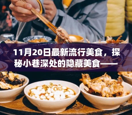 探秘最新流行美食，11月小巷深处的隐藏美食盛宴