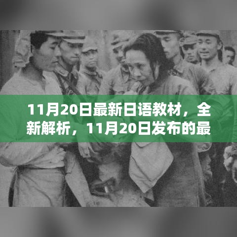 最新日语教材解析发布，全面解读11月20日最新日语教材内容