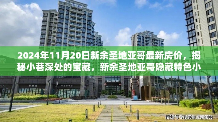 揭秘新余圣地亚哥隐藏特色小店与最新房价探秘（2024年11月20日最新）