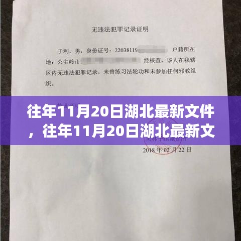 湖北最新政策动向解读，影响分析及其重要性（往年11月20日文件）