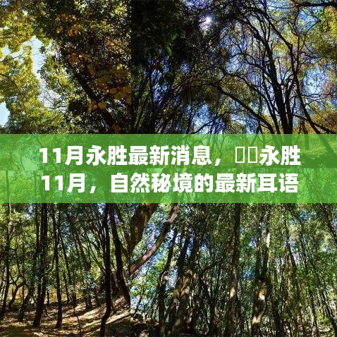 永胜11月最新消息，自然秘境的耳语，心灵平静之旅启程