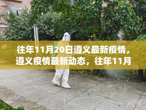 遵义疫情深度解析与观察，往年11月20日的最新动态与报告