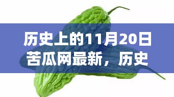 历史上的美好瞬间与苦瓜网的自然美景奇妙之旅