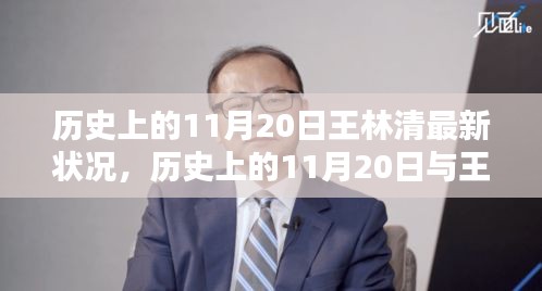 历史上的11月20日与王林清最新状况深度解析