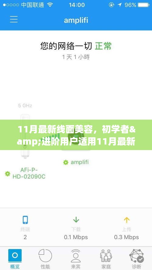 11月线面美容全攻略，初学者到进阶用户，打造完美肌肤的步骤指南