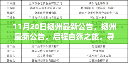 扬州启程自然之旅，探寻内心宁静与乐趣的最新公告