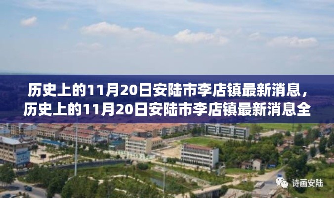 历史上的11月20日安陆市李店镇最新动态全面解读，特性、体验、竞品对比与用户分析
