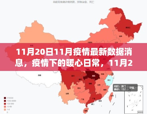 疫情下的暖心日常，最新数据与友情故事