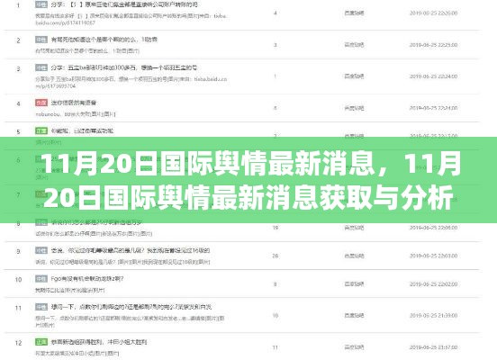 11月20日国际舆情最新消息获取与分析任务指南，适合初学者与进阶用户