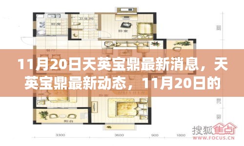 11月20日最新动态揭秘，天英宝鼎瞩目瞬间与长远影响