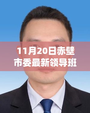 11月20日赤壁市委最新领导班子，赤壁市委最新领导班子概况（11月20日版）
