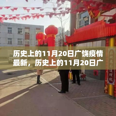 历史上的11月20日广饶疫情深度解析与反思，最新动态及观点阐述