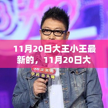 11月20日大王小王产品全新评测与详细介绍