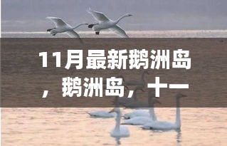 鹅洲岛十一月新篇章，绝美风光一览无余