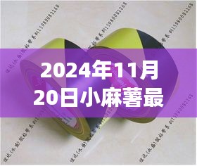 小麻薯最新胶带产品发布，创新与价值的深度探讨