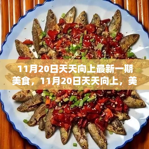11月20日天天向上美食之旅，自信与成就感之歌