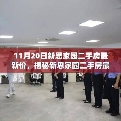揭秘新思家园二手房最新价格，科技赋能重塑生活品质，最新房价信息一览（11月20日）