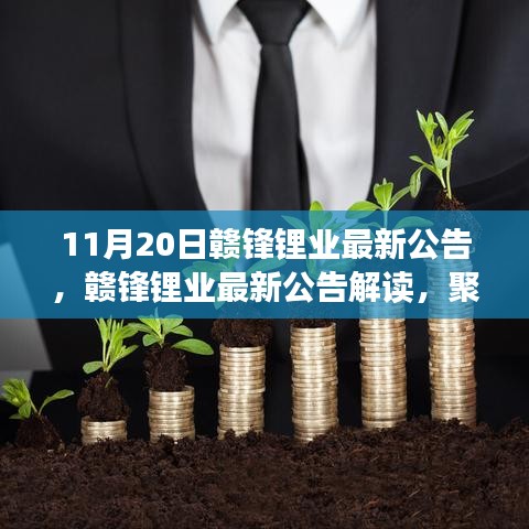 赣锋锂业11月20日最新公告详解，洞悉行业动态，聚焦要点解读