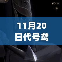 11月20日代号鸢礼包兑换码最新，代号鸢新礼包兑换码揭秘，11月20日的背后故事与影响