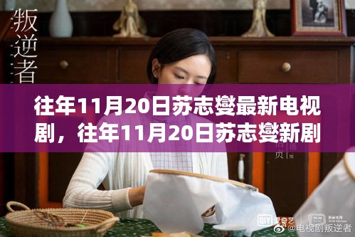 苏志燮新剧解析，特性、体验、竞品对比与受众分析，深度探讨往年11月20日新剧魅力所在