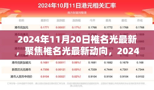 椎名光最新动向与观点探析，2024年11月20日报告