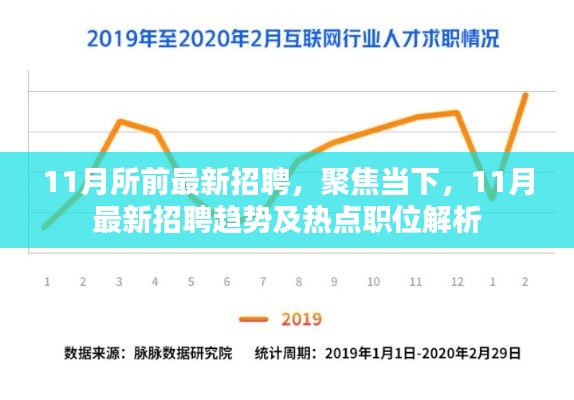 11月最新招聘趋势及热点职位解析，聚焦当下招聘市场