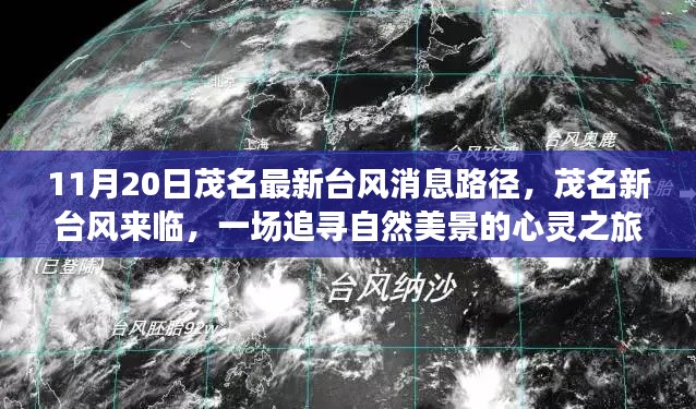 新闻 第697页